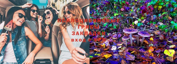молекула духа Беломорск